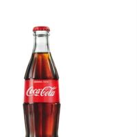 Coca Cola 33 cl - A Modo Bio Salerno