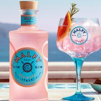 GIN LEMON (MALFY ROSA) - Bar "Angelo"
