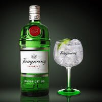 GIN TONIC (TANQUERAY) - Bar "Angelo"