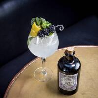 GIN MONKEY 47 E TONIC O LEMON - Bar "Angelo"