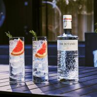 GIN TONIC (THE BOTANIST) - Bar "Angelo"