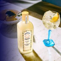 GIN LEMON (BOMBAY) - Bar "Angelo"