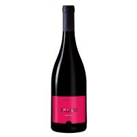 Doline Rosso Primitivo - Casa Bulgarini