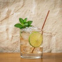 Moskow Mule - I Gerolomini