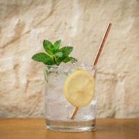 Vodka Lemon - I Gerolomini