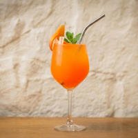 Bellini - I Gerolomini