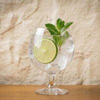 Vodka Tonic - I Gerolomini