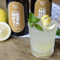 NEPÉTA SPRITZ - Oscialè