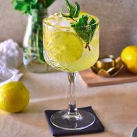 LIMONCELLO SPRITZ - Oscialè