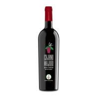 Chjanu Majuri Primitivo Rosso IGT - Vecchia Stazione 3.0 - Pisciotta