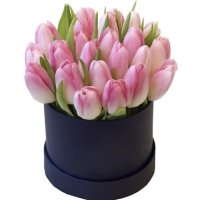 Box Tulipani - Floreal Fioreria