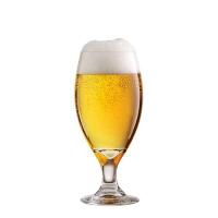 Birra media - Risto Macelleria Passini