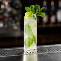 MOJITO - Bar Pizzeria Gelateria  Le Tre Fontane