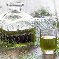 FINOCCHIETTO - Bar Pizzeria Gelateria  Le Tre Fontane