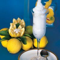 SORBETTO ALLA VODKA - Bar Pizzeria Gelateria  Le Tre Fontane