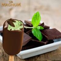 MAGNUM MENTA - Lido Santa Maria