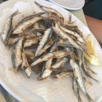 ALICI FRITTE - Lido Santa Maria