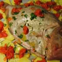 PESCE SAN PIETRO IN GUAZZETTO - Lido Santa Maria