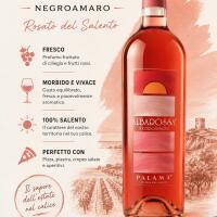 Palamà “Albarossa” 75cl - Non solo pizza