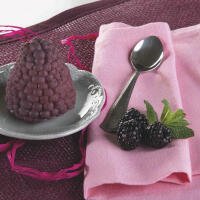 D19 - SORBETTO AL GELSO NERO - Z9 Sushi Pozzuoli