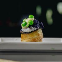 G14 - GUNKAN SAL VIOLA 1P - Z9 Sushi Pozzuoli