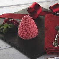 D16 - SORBETTO LAMPONE - Z9 Sushi Pozzuoli