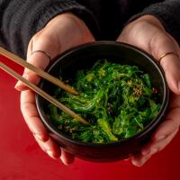 GOMA WAKAME - Misaki Pompei