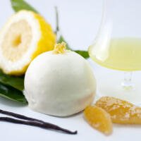 DELIZIA AL LIMONE - Misaki Sorrento