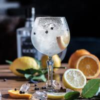 Gin Fizz - Villaggio Lido Paradiso