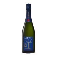 Henri Giraud, Esprit - Bagno Antonio Ischia