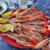 SCAMPI - Taverna del pesce
