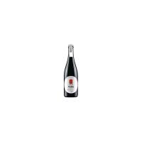 PASHKA' Rosso frizzante secco IGP - Ristorante Il Brigantino