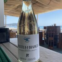 Paestum Bianco Marco Peduto - Lido Baia Saracena Palinuro