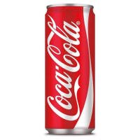COCA COLA lattina 33 cl - Birra Roero