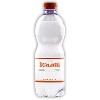 ACQUA GASSATA - Gianni Pizza Montesilvano