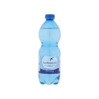Acqua Frizzante 0,5 cl - CamerBurger