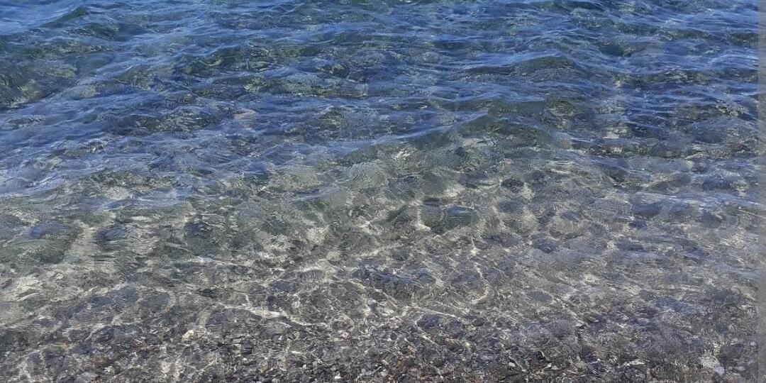 Lido il Giglio e la talpa