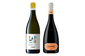 categoria VINI - DRINK PO MARKET