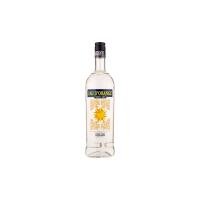 EAU D'ORANGE TRIPLE SEC BAGNOLI LT.1 - DRINK PO MARKET