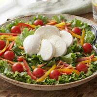 Insalatona con mozzarella di bufala - Circuito del gusto