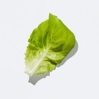 Smashburger Salad - Mezzocolpo Pontecagnano