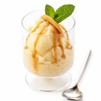 SORBETTO AL LIMONE - Orchidea Pizzeria