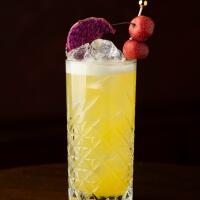 Paraguay Ice Tea - The Bombardier