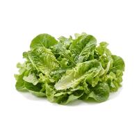 INSALATA VERDE - Joan Pub Pizzeria