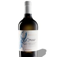 pecorino terre di chieti igp bio - Umaki Salerno